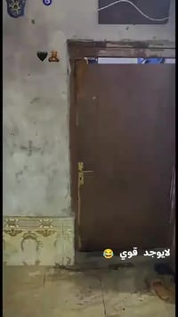 ماكس منغولي • مزوده • نضيفه