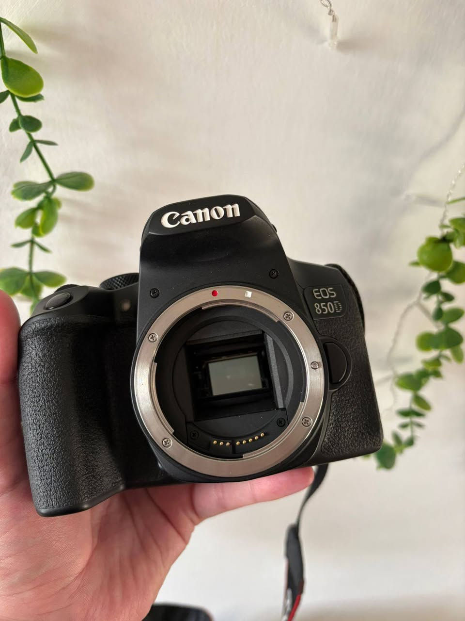 Canon 850D
مع 3 عدسات 
50mm
10-18mm
18-135mm
شاحنة مع 3 بطاريات
حقيبة
ادوات تنظيف
بطاقتين 64،32 كيكا بايت

سعر مليون 150 

الاستفسار ***********
