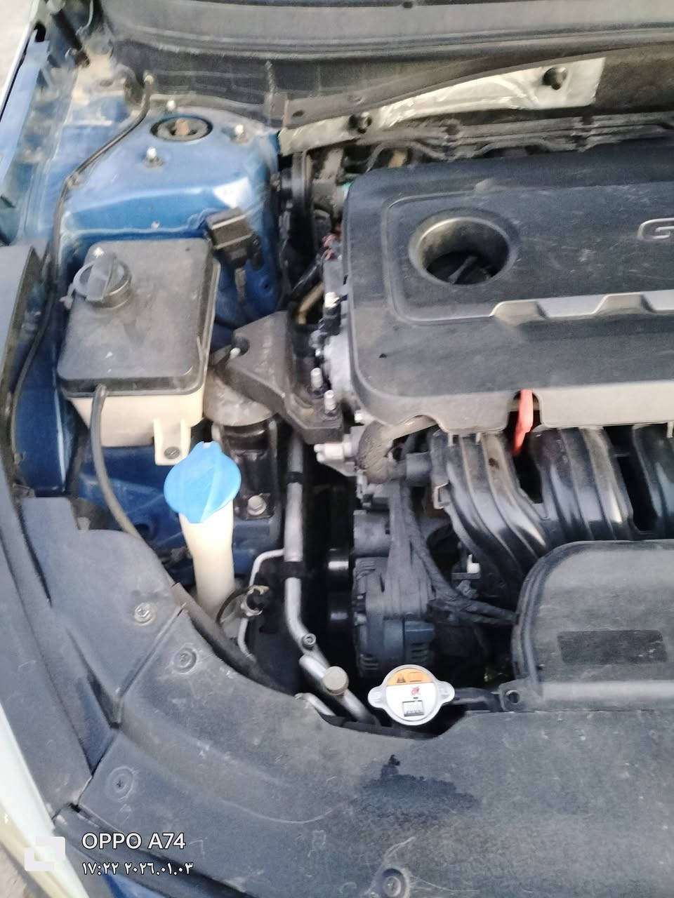 سوناتا سبورت امريكي صبغ 3 قطع رقم كربلاء الدولي سنوية ال 30 هزةجديدة موديل 2016
ماشية 80 ميل

السيارة م̷ـــِْن كل شي فول مواصفات عدى الفتحة

السعر

116

مكان السيارة كربلاء المقدسة

***********

***********
