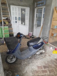 منغولي • محرك ناعم • شاصي مكفول