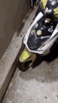 سگنز شمعه 2022 مكينه ماكس 120 بلادي نقصهه باتري و كابريتر نص ونص و الباقي شوف العين سعر 300 وبيها مجال مكاني مفرق ***********
