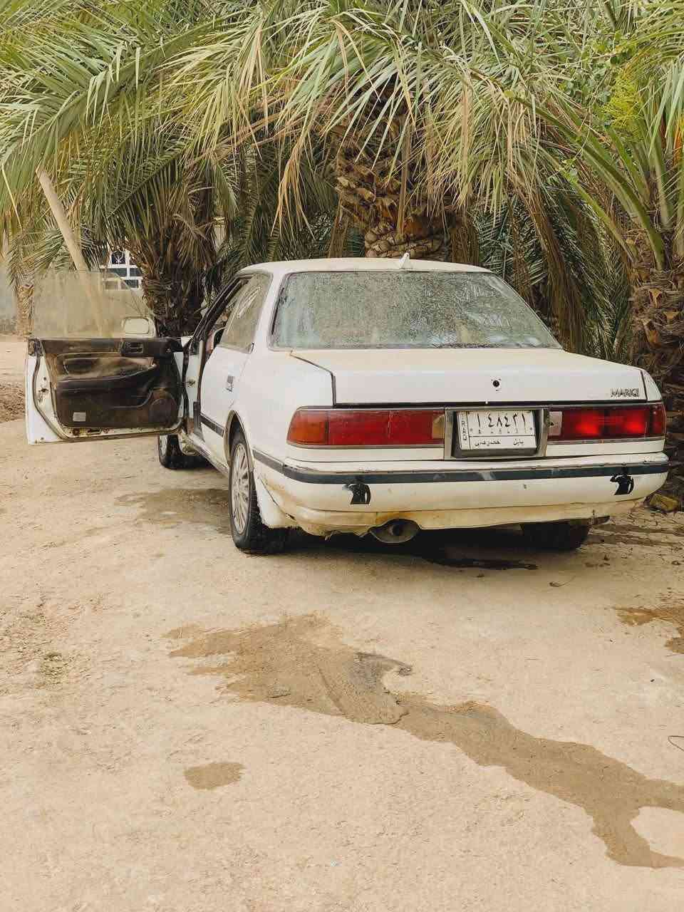 *********** مارك للبيع عظم
