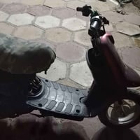 بطة • كايمه