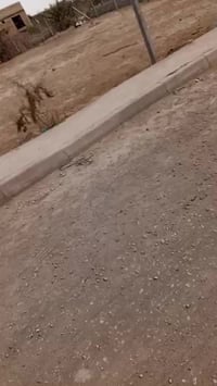 مجمع اللؤلؤة • ٥٠٠م • أرض