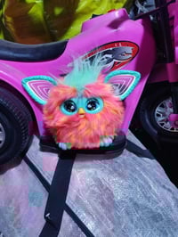 للشراء • خاص • متفرقات