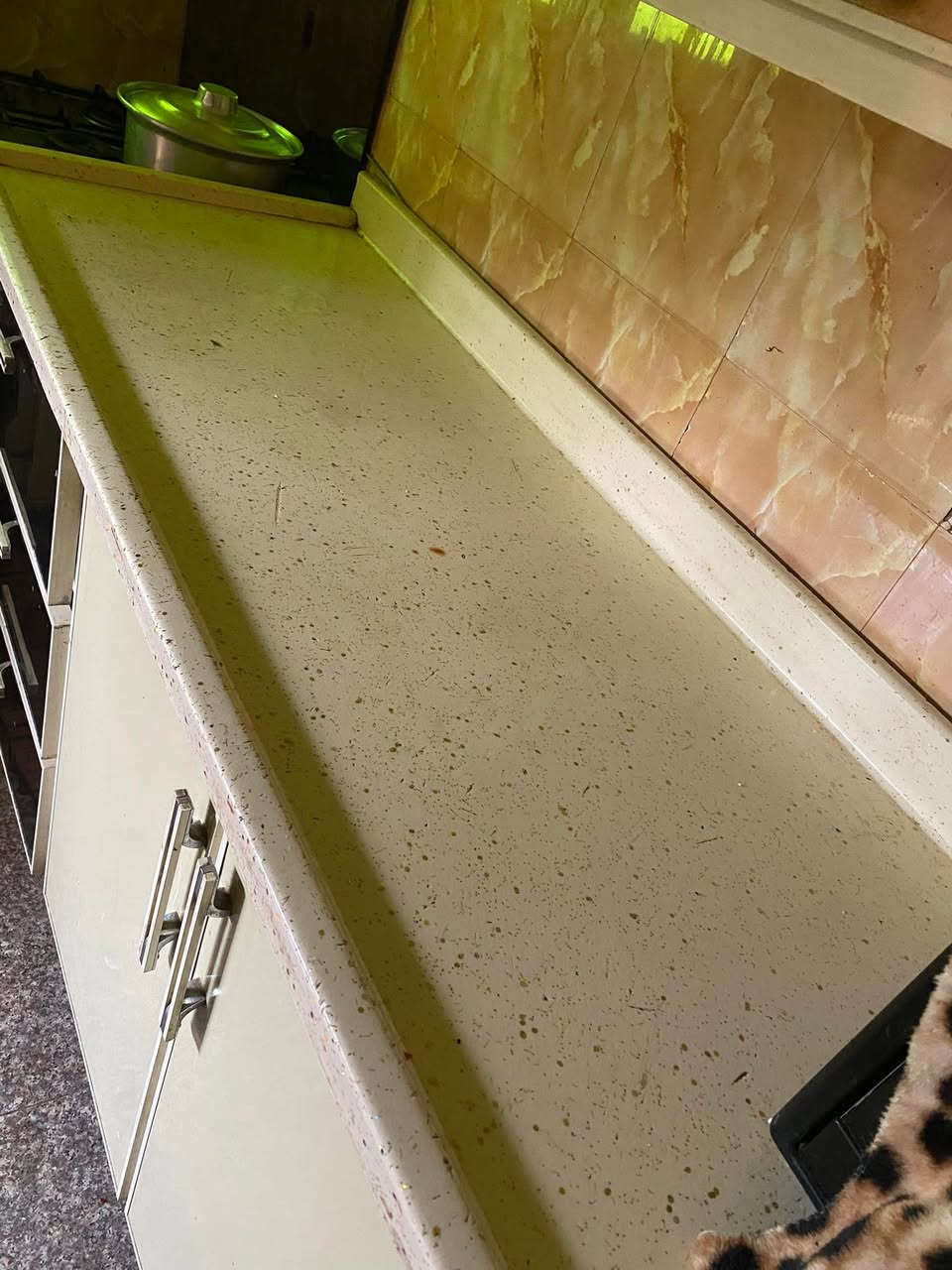 كاونتر تسكام  مترين وربع والسنكي متر وربع ٥٠٠


**إذا كنت صاحب هذا الإعلان وتريد حذفه لأي سبب، رجاءا أرسل رسالة إلى الدعم الفني**