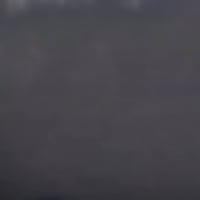 طباخ • متفرغ