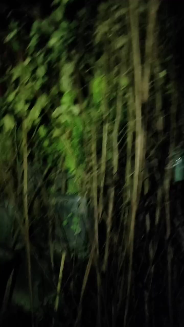 وصول وجبه كبير من اشجار النفضيه المثمره 
تفاح كل الاصناف #مشمش كل الاصناف #عرموط كل الاصناف 
#كرز#لوز عربي #كوجه خضره (جارنك) ا#كوجه صفره #كوجه دموي #كوجه بيتنجاني #تين عبيدي #تين سليمانيه #تين محلي #ليمون عراقي ارتفاع مترين ونص #ليمون عراقي ارتفاع متر #برتقال عراقي ارتفاع متر #برتقال مصري ابوالصره #سندي #كريب فوت #طرنج #نارنج #ليمون صيني #لالنكي ياباني 
اسعار جدأ مناسبه 
مشتل الزعفرانه #ناحية العبيدي #مقابل اعداديه العبيدي للبنين 
***********
