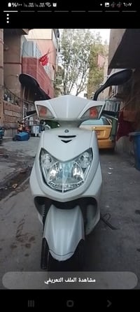 سكنس ياباني • بحالة الوكالة • لون صدفي