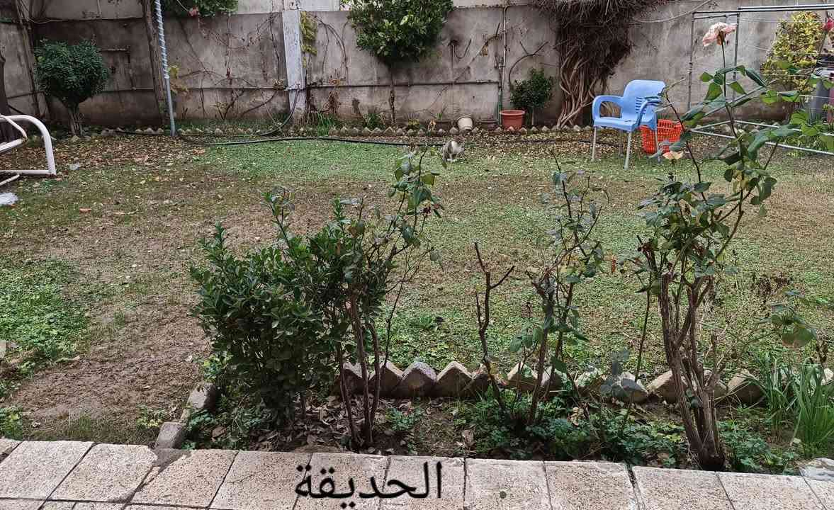 دار للبيع
المساحة 348م 
الواجهة 16
العمق 22
البيت طابقين يحتوي على غرفتين نوم + هول + غرفة ضيوف + مطبخ + صحيات في الطابق الارضي
ويحتوي على بيتونة + هول + غرفتين نوم (واحدة منهم تحتوي على سويت)+ صحيات في الطابق الثاني 
البيت يحتوي على حديقة واسعة + كراج + طارمة + ترك جانبي وخلفي

الموقع / حي السكر / قرب جامع الرحمة / شارع المشجر وخلف المجمع الاوربي 2 بالضبط ، شارع تبليط

البيت سند حديث 2025 بأسم صاحب الدار 

البيت محدث وصالح للسكن
سعر المتر الواحد مليون وربع

***********
***********
