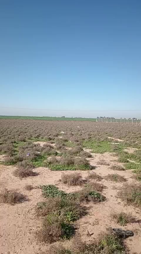 ارض زراعي طابو مقابل مطعم جنه العراق يم قاعه عرائس وراء الواجهه واجهه  23 متر يصير مزرعه مقابل كل مزرعه خمس دونم ما اجاوب على التعليقات بس اجاوب على الخاص ***********
