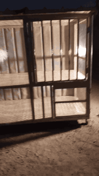 سلام عليكم اني حداد على باب الله افصل قفاصه هذا فصلته وراعيه ختلف عليه أهله ما رادو سبب المكان حجمه الرتفاع مترين ولواجه مترين ونزال متر  و10سانتيم الحديد مغلون ولسيم صيني كبس حراري مغلون ما يزنجر القفص طابقين كل طابق وبابه الكاعيه المنيوم فافون القفص متحرك بي تايرات انت تسوقه وين ما يعجبك ودي السكف سندويج سعره 700 وبي مجال للشراي مكاني بغداد الحريه رقم الهاتف *********** يوجد توصيل داخل الكرخ
