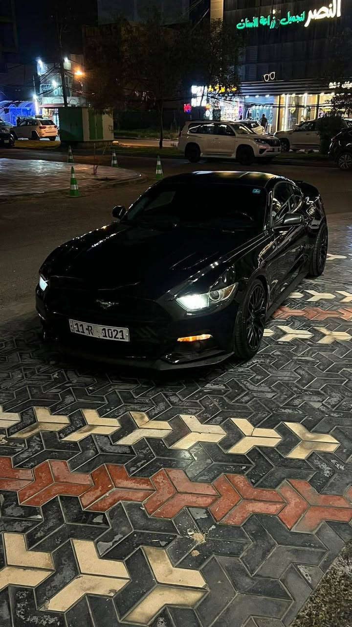 موستنك جي تي 2016 
ماشية 66.000 KM 
قطعتين من امريكا جاملغ بونيد بدون دواخل بدون شاصي
بلعراق انظربت جاملغ خلفي 
السيارة كلش نضيفة ونصبتها خرافي 
اكزوز طرب على ريمونت 
برمجة فول
بيع -- مراوس 
السعر 160 ورقة كركوك, العراق


**إذا كنت صاحب هذا الإعلان وتريد حذفه لأي سبب، رجاءا أرسل رسالة إلى الدعم الفني**