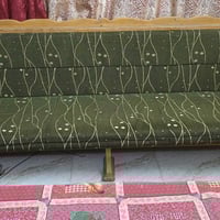 كنب • نص تخم • الشعب