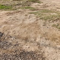 قطعة ارض للبيع المساحه 260 متر الواجهة 11 نزال 23/الفحامه بستان الكبيس...