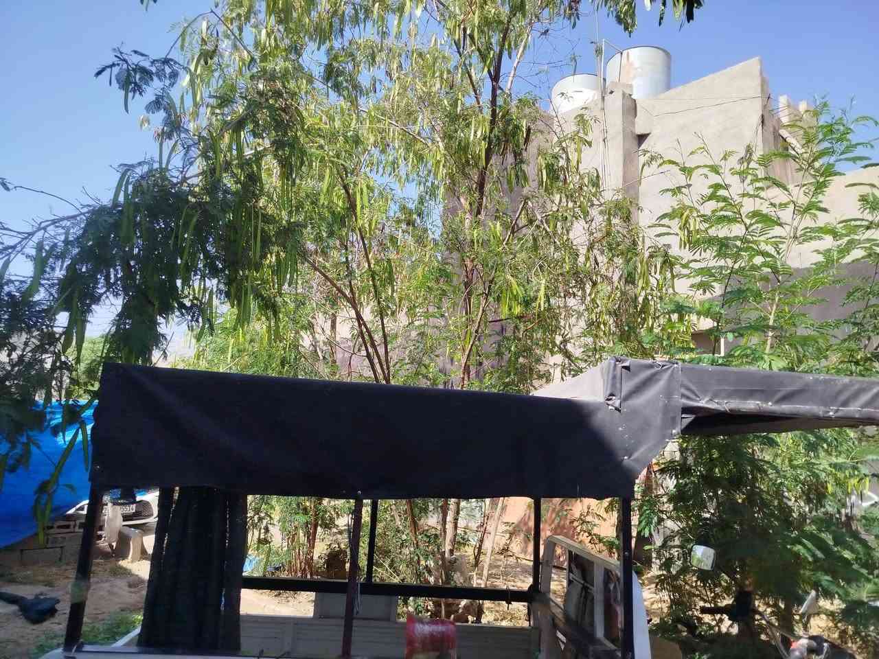 جنج للبيع سعره ٥٠الف


**إذا كنت صاحب هذا الإعلان وتريد حذفه لأي سبب، رجاءا أرسل رسالة إلى الدعم الفني**