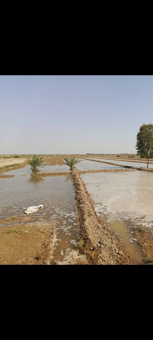 تبارك الرحمن السلام عليكم كاع للبيع ثلاثه دوانم طابو زراعة عقد 17كل الخدمات متوفره  بيه تبليط للباب مكان الكاع كطنيه متوفر بيه ماء رساله وكهرباء وشراي يتصل ***********
