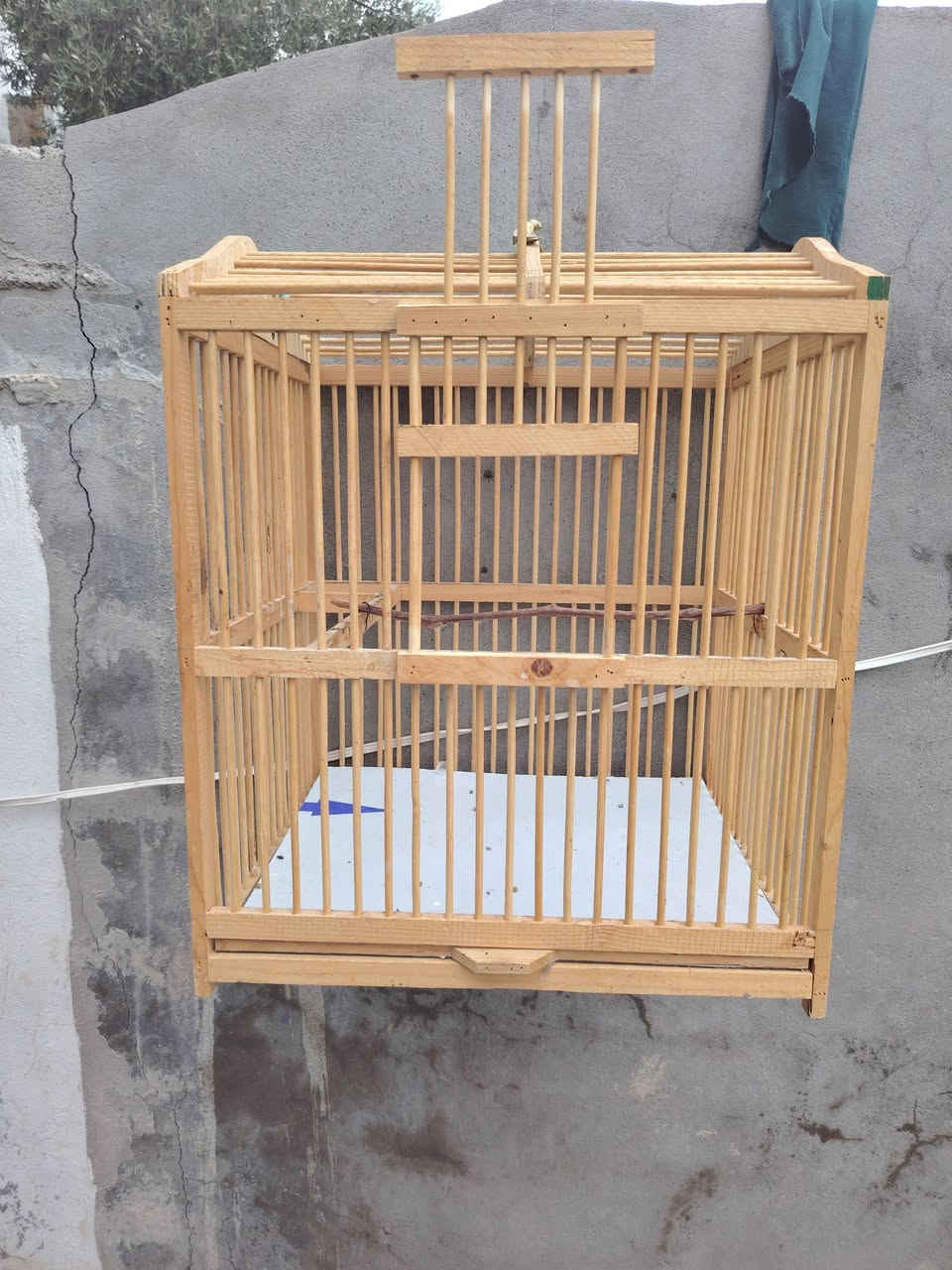 بيع او مراوس ابقفص ابو الطير كبير مكاني جلولاء


**إذا كنت صاحب هذا الإعلان وتريد حذفه لأي سبب، رجاءا أرسل رسالة إلى الدعم الفني**