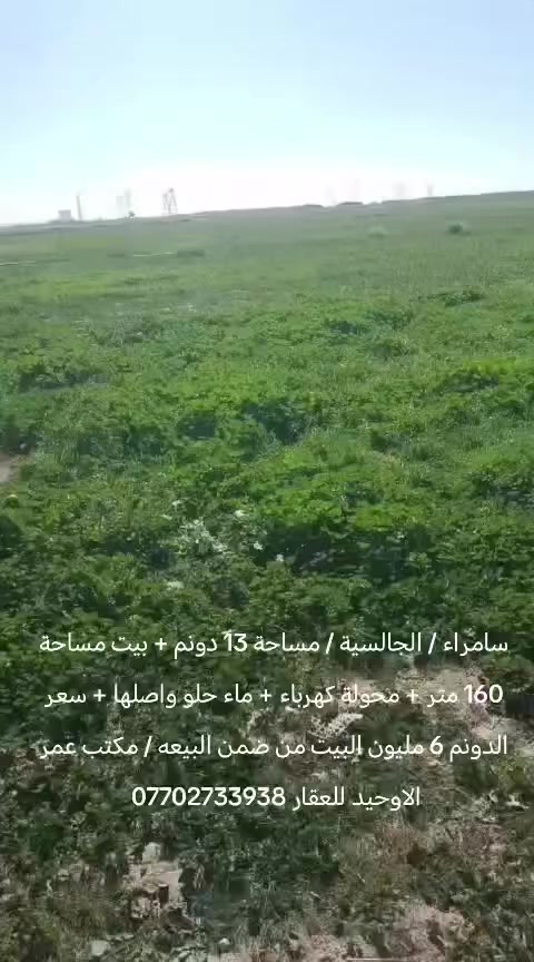 سامراء / الجالسية / مساحة 13 دونم + بيت مساحة 160 متر + محولة كهرباء + ماء حلو واصلها + سعر الدونم 6 مليون البيت من ضمن البيعه / مكتب عمر الاوحيد للعقار ***********
