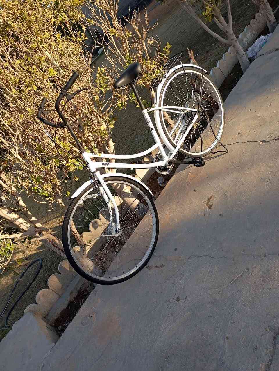 السلام عليكم
باسكل البيع ياباني طاقه 
حجم 27
سعر 120وبي مجال قليل
***********
الانبار الرمادي الصوفية
