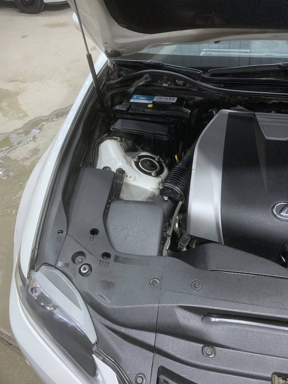 السلام عليكم لكزز GS250 موديل 2012
السياره خليجي ومكفوله عدى الموضح بالفيديو

فوول مواصفات لو اعد ساعه متخلص وجنايتها يعرفون مواصفاتها بغداد بأسمي تحويل وين ماتريد السعر 165 وبيها مجال للطيبين 

مكانها النجف حساسات امامي خلفي كشنات جلد تبريد ثلاث انظمه قياده كأمره دواره جي بي إس أشاير ترحيب بالمري قلاب من ترجع بك خزن ميموري كشن ذاكره السياره احله من الصوره كير محرك شرط برغي مامفتوح حداديه جيده 100/100 ترهم مراوس حسب القناعه***********/***********
