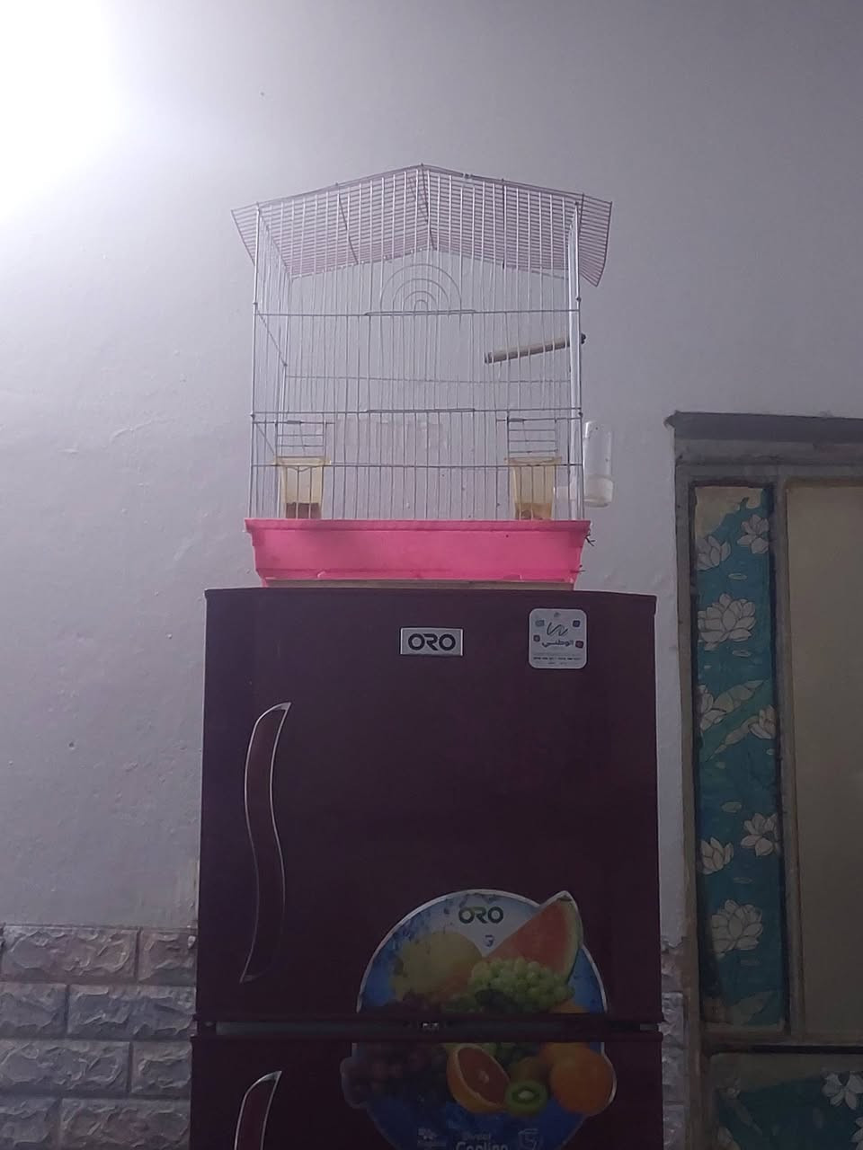 السلام عليكم 
قفص بلبل طيور حب اي شي 
السعر ١٥ الف *********** شهداء البياع
