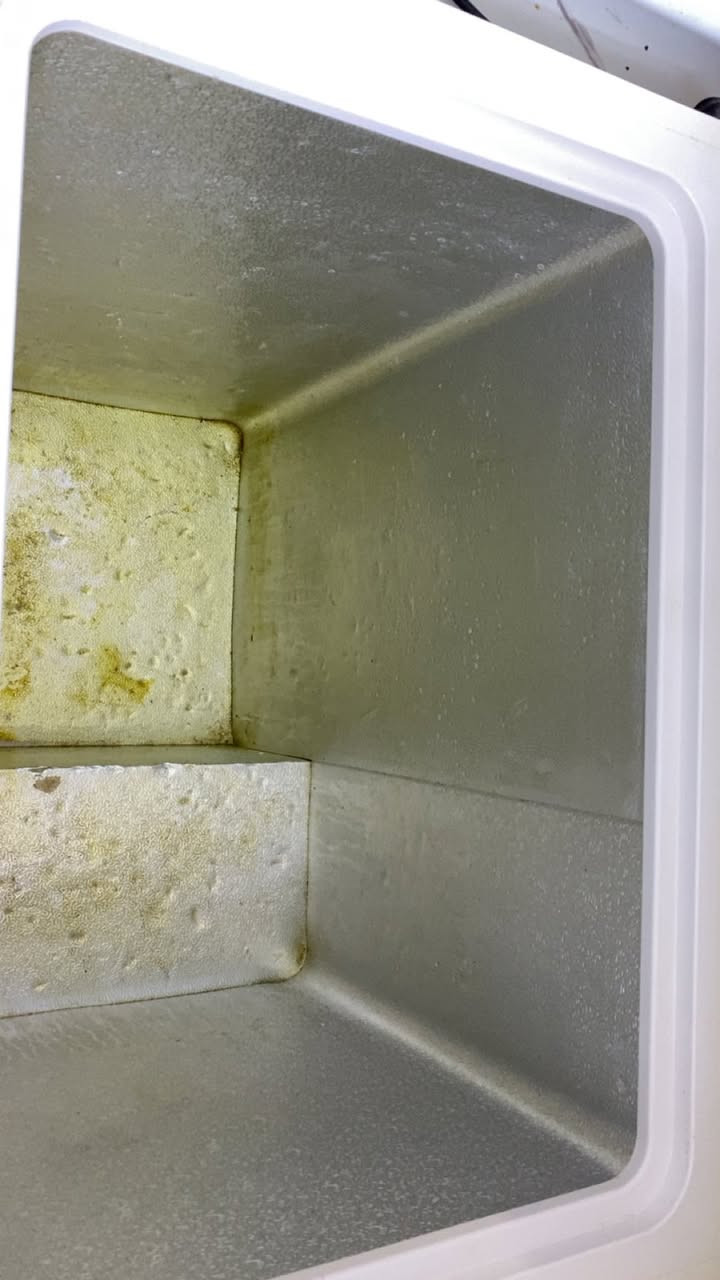 مجمدة للبيع نوعية كيلون الاصلية تجميدها فول حجم وسط مثل ما موضح بصورة شكلها والاضرار البسيط سعر ١٢٥ وبيها مجال بسيط مكان ابو غريب خرنابات


**إذا كنت صاحب هذا الإعلان وتريد حذفه لأي سبب، رجاءا أرسل رسالة إلى الدعم الفني**