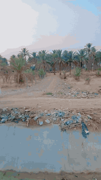 بسم لله الرحمن الرحيم 
للبيع ارض بستان طابو صرف 4 اربع دوانم طابو صرف محاديه قطع التاجيه ال 10 الف على الروائي تنزل عن التبليط والروائي حوالي 15 متر ترهم استثمار او مجمع سكني اوخلف الروائي قطع التاجيه ال 9 الف 
والعنوان اوضح مقابل الشقق اوطريقهن مقابل الامام بكر ابن علي عليه السلام 
للأستفسار والسعرعلى الخاص  اوالاتصال 
  ***********  اتصال 
***********  واتساب
#الجميع_عام_ارض_زراعي_للبيع
#الجميع_عام_اراضي_زراعي_للبيع_حله_بابل_دوانم_للبيع_الج #دوانم_للبيع_زراعي_للبيع_بابل_حله_للبيع #الجميع_عام_ارض_زراعي_للبيع #كربلاء
