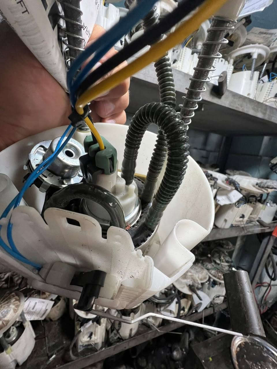 وصل الان حصري الى محلات #الوافي 
كمية كبيرة جدا  من الفيت بم الخاص للدوج كرفان 
اصلي  اصلي اصلي .....
نظيف جدا  
وتدللون جماعة الدوج 
بعد لا تشد تلزيك  ولا تشد جديد وكم يوم ويحرك عندك قاعدة الفيوزات 
شد اصلي  وتدلل 

#الوافي 
الداعم الرسمي لجماعة الدوج والكرايسلر 

#امان_وضمان

السعر  125.000
متوفر ايضا توصيل 🚚 الطلبات لكل مناطق العراق 🇮🇶 
على الرقم  ***********   واتساب فقط للطلبات
