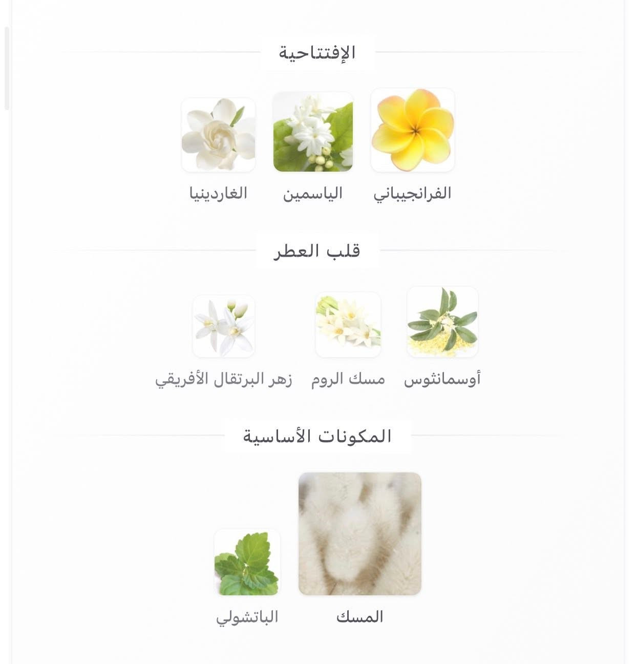 لان اني ادري بزبائني راقيين ومميزين اوفر الهم بس الراقي والمميز عطر ناسسيو رودريغز (لها للابد 💕) 
عطر النظافة الفاخرة وعطر الاناقة والجمال والجاذبية الي يجمع الباودر والمسك والزهور البيضاء 
مطابق بنسبة ٩٩٪؜ وبسعر غير مطابق ابدا 🤣
اطلبي هسة ودللي نفسج 😘


**إذا كنت صاحب هذا الإعلان وتريد حذفه لأي سبب، رجاءا أرسل رسالة إلى الدعم الفني**