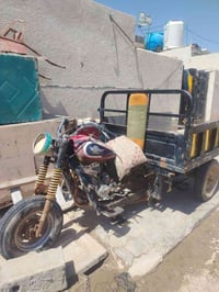 ستوته • ٢٠١٩ • اوراق اصولي