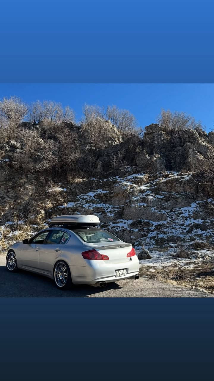 تخمين ويل للبيع اصليات
بغداد حي الجامعة 
***********
