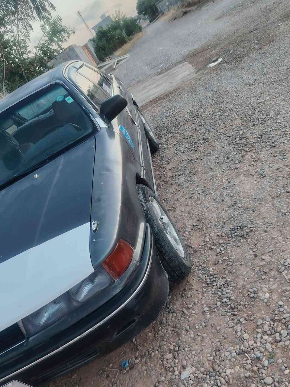 سياره ميتسوبيشي للبيع سنويه 2030 بسمنه كامله من كل عيب موديل 1991 كير محرك 1800 تبريد شغال بس كمبيوسر مجيم صدر تايرات نضيف السعر 33 وبي مجال عنواني خانقين رقم الهاتف ***********
