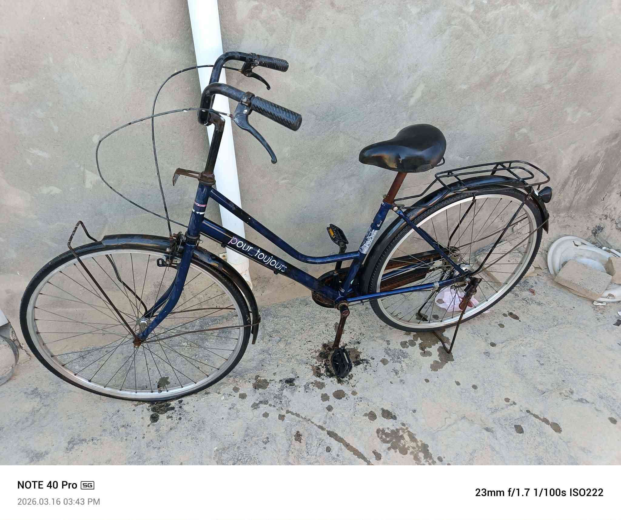 بايسكل للبيع السعر 90بيه مجال


**إذا كنت صاحب هذا الإعلان وتريد حذفه لأي سبب، رجاءا أرسل رسالة إلى الدعم الفني**