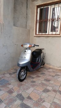 مطور • بوتين • جديد