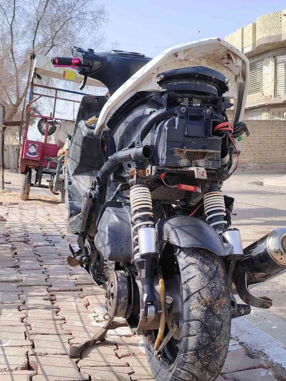 سلام عليكم سكنس فحل للبيع مال لعب اوراق موجوده دراجه حساس ستان  مزوده صالنصه ستيل صوت يخبل يدات رياضي سلف رياضي قبق فلاوين رياضي مكينه تخبل شلع معدل مكاني بغداد حي البتول سعر 400 وبيها مجال *********** وتساب.
