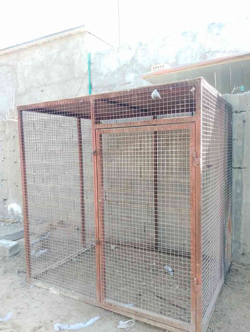 السلام عليكم قفص للبيع الوجه مترين والارتفاع مترين سعر المطلوب 225 عنوان كربلاء طريق بغداد يم مطبخ العتبه


**إذا كنت صاحب هذا الإعلان وتريد حذفه لأي سبب، رجاءا أرسل رسالة إلى الدعم الفني**