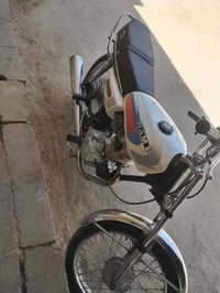 دراجة • كربلاء • طريق كربلاء نجف