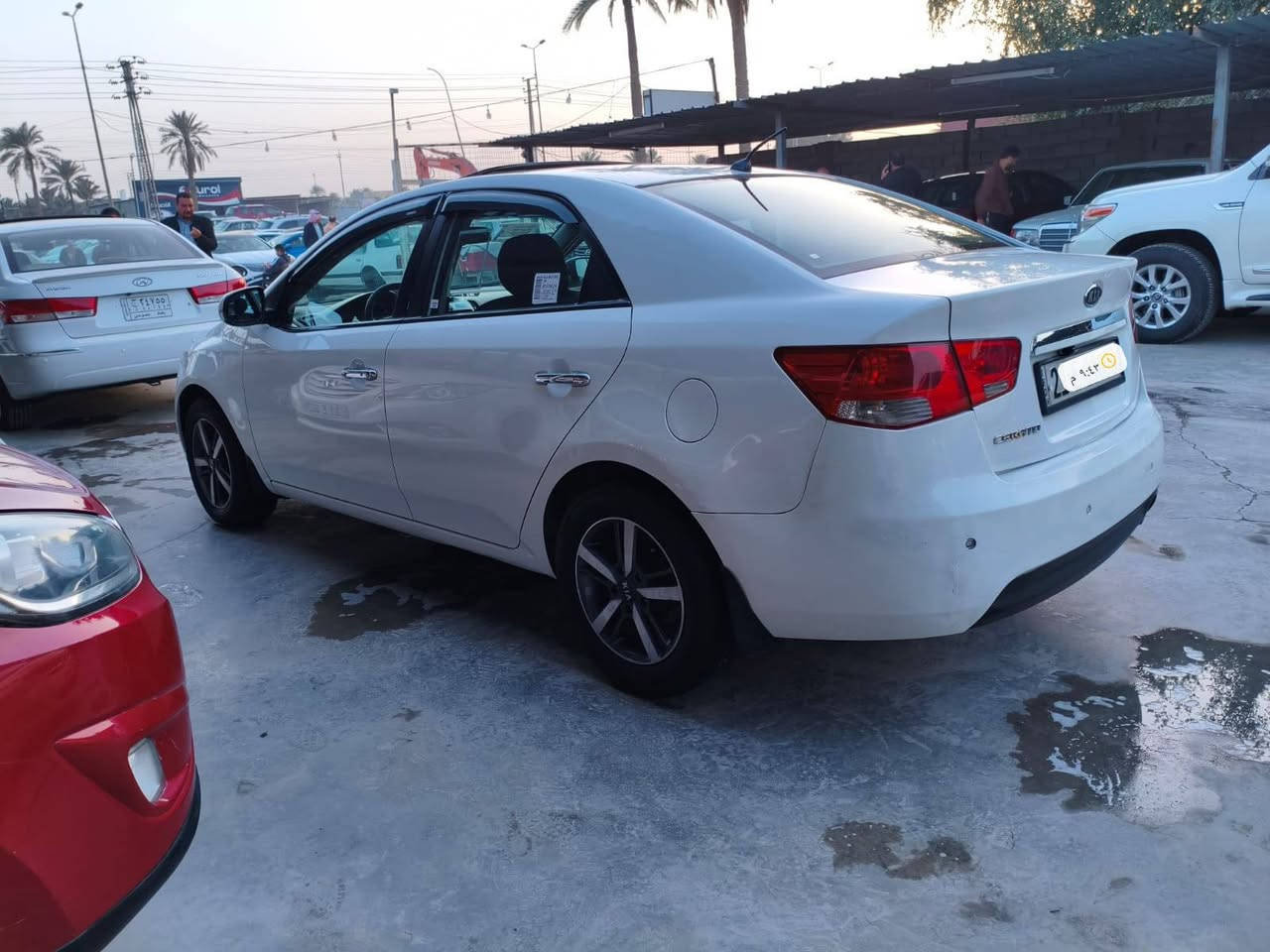 فورتي 2013 مكفوله كفاله عامه ماعده دعاميه اماميه فول ماصفات فتحه بصمه شفتات ستيرن شاشه تحكم ستيرن تبريد ثلج صدر كله جديده كير مكينه مكفولات مري قلاب  وارد خليجي معرفه تفاصيل اكثر سعر اتصل على رقم ‏‪***********‬‏ غير متواجد على فيس بوك محرك 1600
