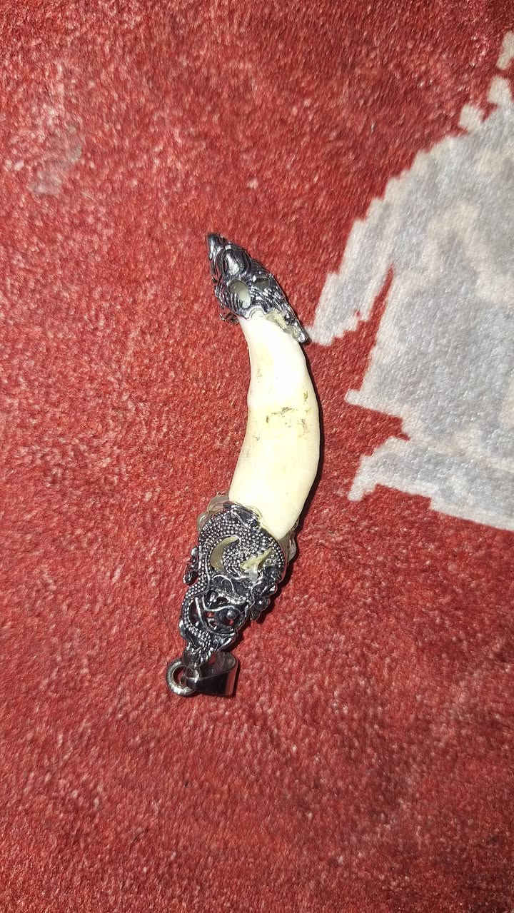 سولف سعرك، مكاني بصرة، ممتوفر توصيل


**إذا كنت صاحب هذا الإعلان وتريد حذفه لأي سبب، رجاءا أرسل رسالة إلى الدعم الفني**