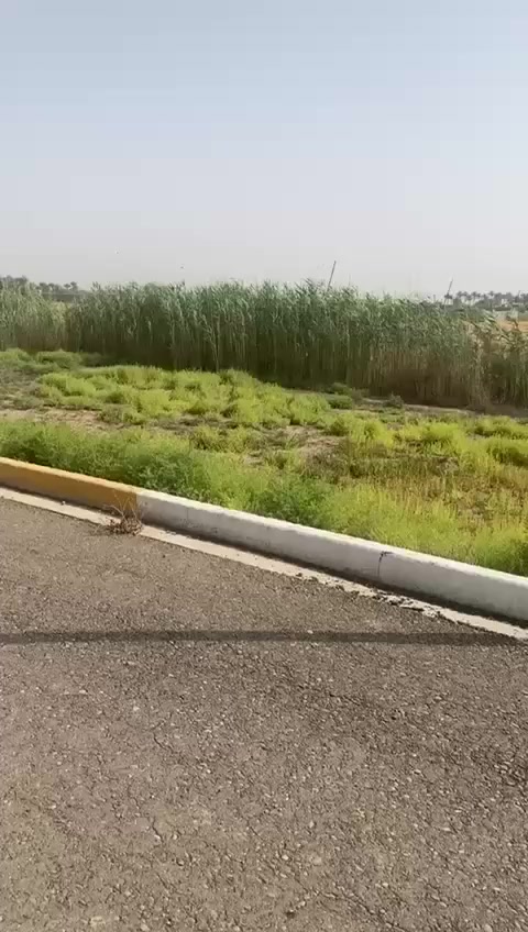 السلام عليكم
قطعة للبيع سند 25 في منطقة الدورة / حي دجله / السيسبان / قريب سريع الدوره الجديد المنطقة مخدومة كهرباء وتبليط 
100 متر 
السعر 28 
 للتواصل : ***********
