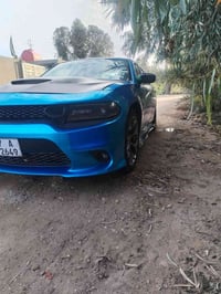 جارجر • ٢٠١٥ • تغيير لون