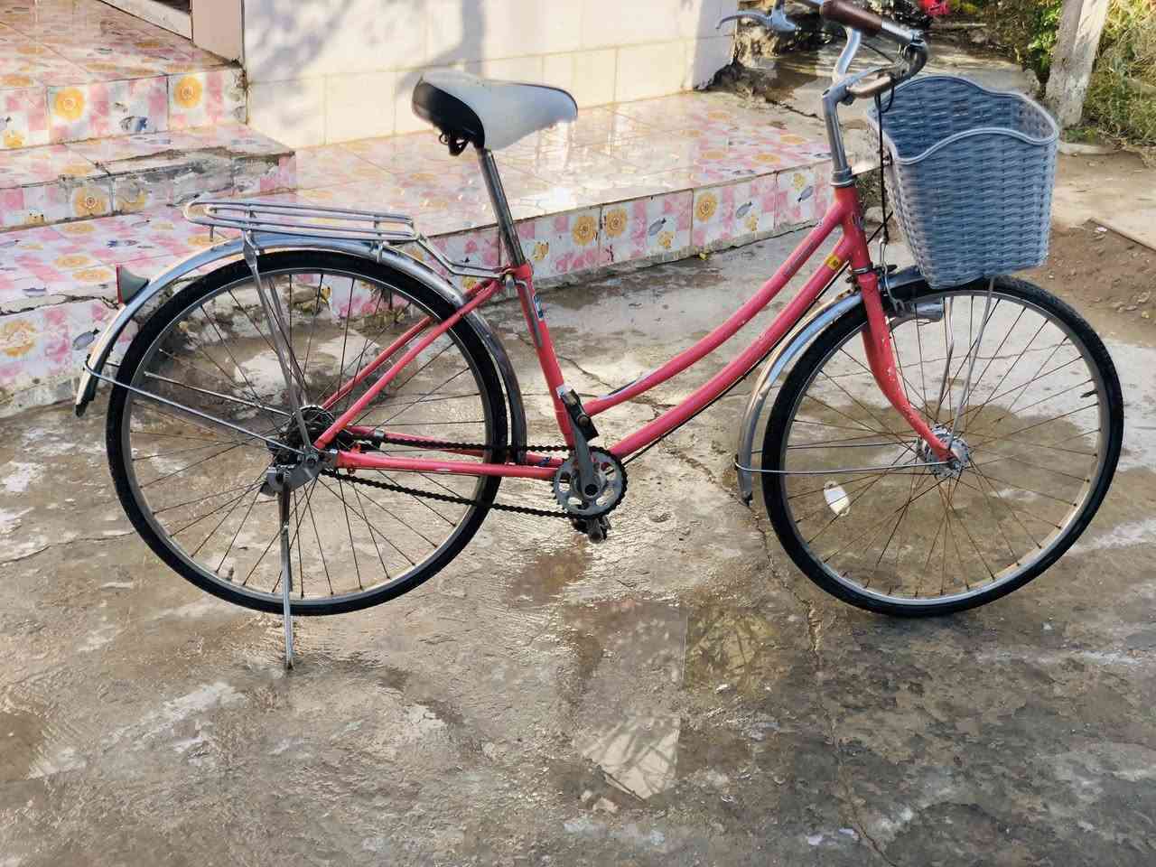 للبيع باسكل باله ياباني ابو الختم السعر 100💵بي مجال حك جيتك التواصل خاص او اتساب:***********
