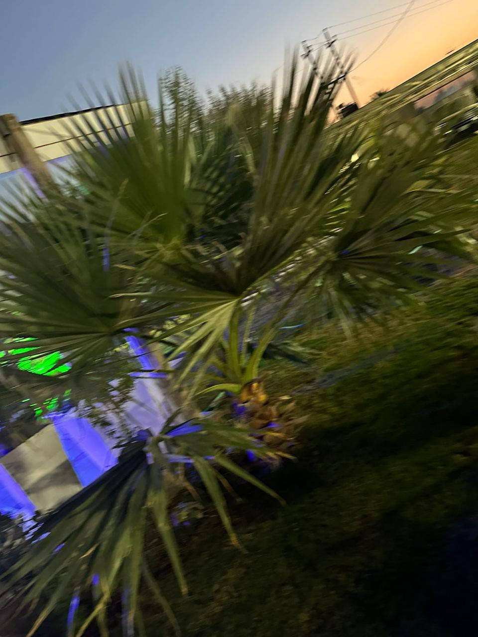 مزرعة للإيجار اليومي 🏡🌳
📍 الموقع: بغداد – الدورة – البوعيثة

✔️ أجواء هادئة ومناسبة للعوائل

✔️ مساحة واسعة وخدمات متوفرة

✔️ مثالية للراحة والونسة

📌 للحجز والاستفسار يرجى الاتصال أو المراسلة على واتساب: 

 📞 ***********

 موثق في تطبيق اجرلي لسياحة المزارع في العراق 🇮🇶
