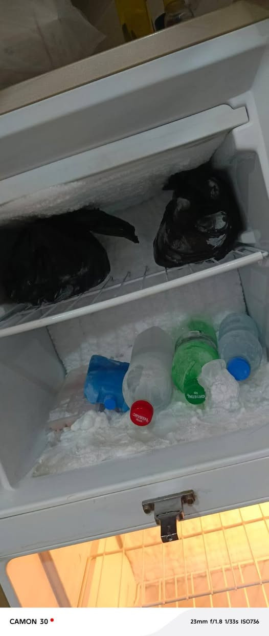 ثلاجه للبيع جديدة مامستعمله هواي نضيفه كلش وتبرد وجمد تجين وشوفيها بعينج كلشي مابيها للبيع السعر ب350 وبيها مجال للشرايه


**إذا كنت صاحب هذا الإعلان وتريد حذفه لأي سبب، رجاءا أرسل رسالة إلى الدعم الفني**