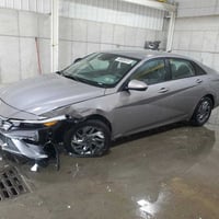 النترا • ٢٠٢٤ • تخريج كتاب الشهداء