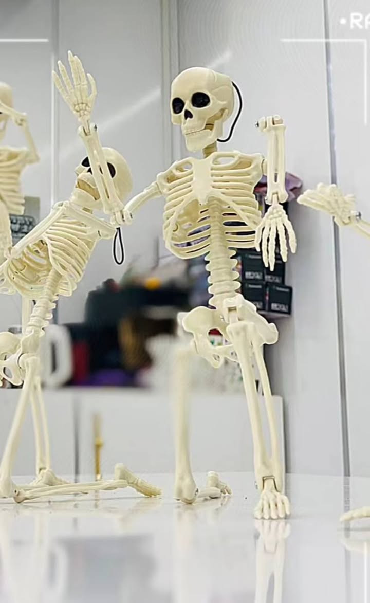 متوفر هيكل عظمي حجم ٤٠ سم السعر [١١]الف متوفر توصيل


**إذا كنت صاحب هذا الإعلان وتريد حذفه لأي سبب، رجاءا أرسل رسالة إلى الدعم الفني**