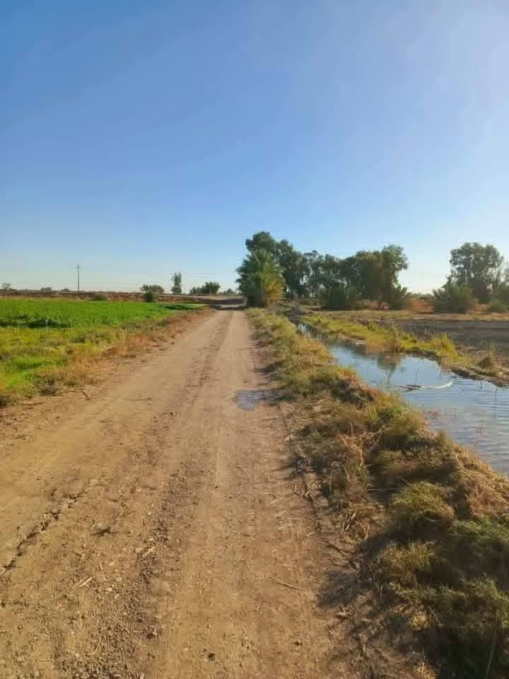 شني اليومممم 🔥
جايبلك دونمين ومن ضمن 4 دوانم فقط
وملك صرف وبيش بسعر 20 مليون الدونم
 بس جاهزات واصوليات بأسم عمي مباشر
ولا حق التصرف ولا مملوك للدوله ملك
شخصي الملك لله ملك صرف وخدماته
كامله ماء وكهرباء وسكن يمه ويبعد عن
السوق والمدارس 10 دقايق فقط العنوان
تاجي سبع البور بمنطقة الشيخ عامر يبعد
عن السوك 10 دقايق وما اخذ منك ربع 
دينار اذا ما افتحلك بيان وللتذكير عروض
متوفره ونطلع عليهن وانته اشوف اليي
يعجبك اتصال ***********واتساب
