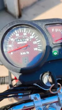 شاينك • موديل٢٠٢٦ • كفاله