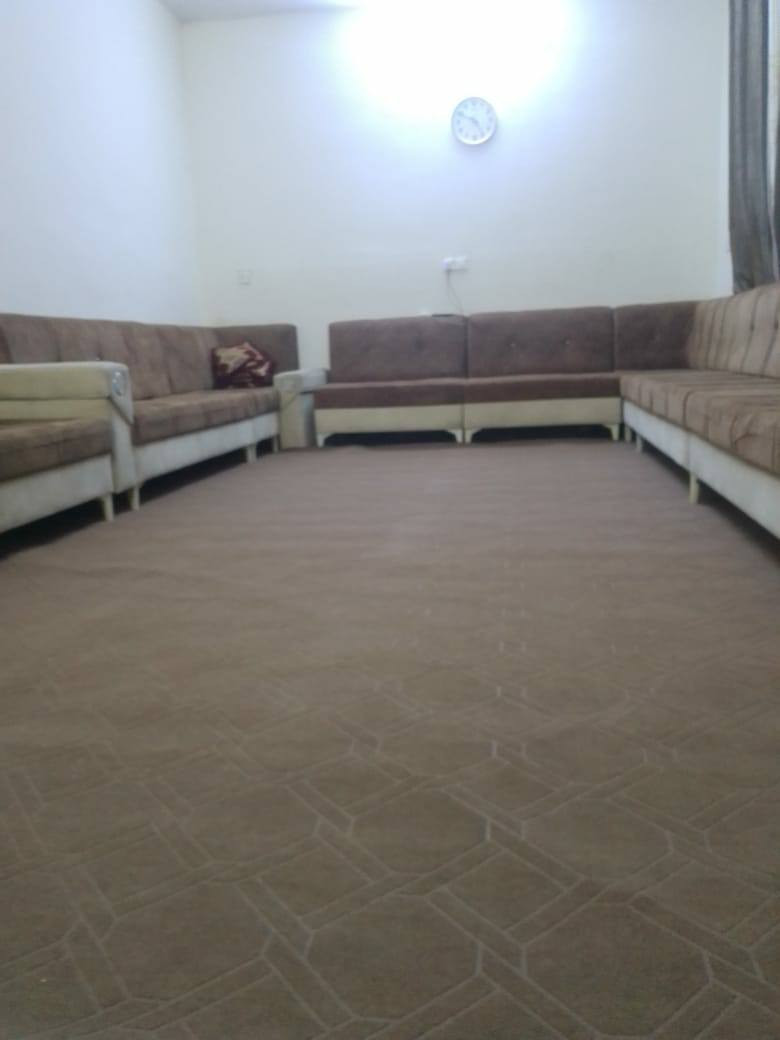 تخم قنفات بحاله ممتازه للبيع الاتصال بالرقم ***********
